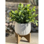 10.75” Faux Eucalyptus Plant in Planter - Chic Decora