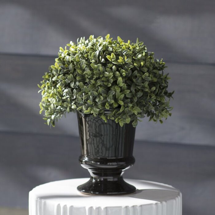 11.5” Faux Boxwood Topiary in Ceramic Urn - Chic Decora