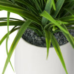 11” Faux Grass Plant Grass in Ceramic Pot - Chic Decora