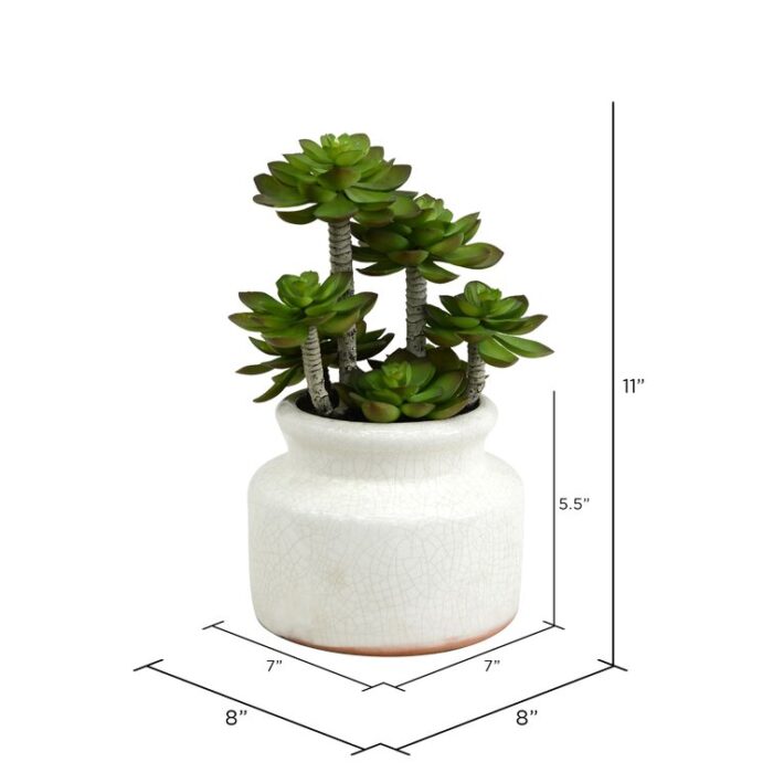 11” Faux Succulent Plant in Ceramic Planter - Chic Decora