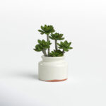 11” Faux Succulent Plant in Ceramic Planter - Chic Decora