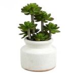 23.5” Faux Succulent Plant in Stone Pot - Chic Decora