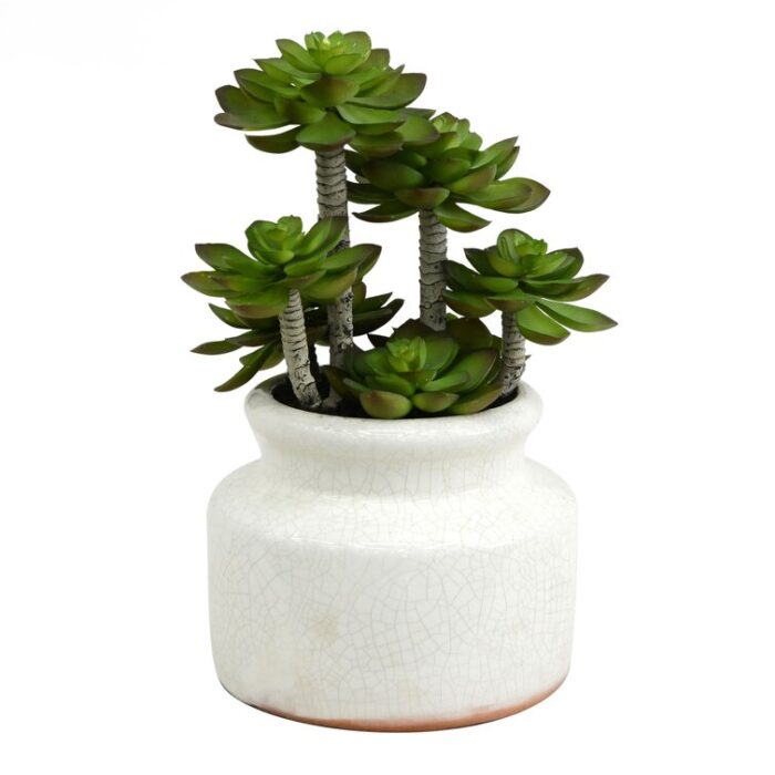 11” Faux Succulent Plant in Ceramic Planter - Chic Decora