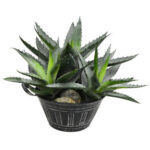 13.5” Faux Succulent Plant in Cement Pot - Chic Decora