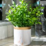 11” Faux Tea Leaf Plant in Ceramic Planter - Chic Decora