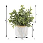 11” Faux Tea Leaf Plant in Ceramic Planter - Chic Decora