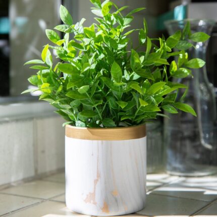 11” Faux Tea Leaf Plant in Ceramic Planter - Chic Decora