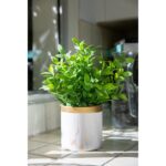 11” Faux Tea Leaf Plant in Ceramic Planter - Chic Decora