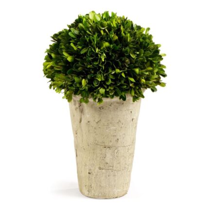 12.25” Boxwood Topiary in Ceramic Planter - Chic Decora