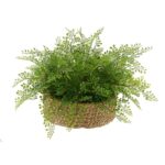 12” Faux Fern Plant in Basket - Chic Decora