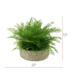 12” Faux Fern Plant in Basket - Chic Decora