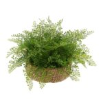 12” Faux Fern Plant in Basket - Chic Decora