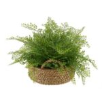 13” Faux Fern Plant in Wood Basket - Chic Decora