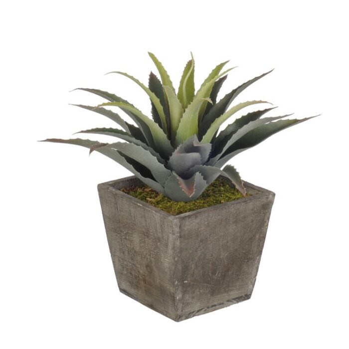 12” Faux Succulent Plant in Wood Pot - Chic Decora