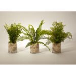 12” Plant in Glass Jar - Chic Decora