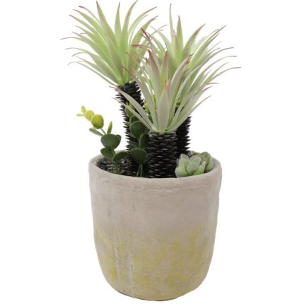 13.5” Faux Succulent Plant in Cement Pot - Chic Decora