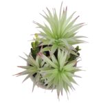 13.5” Faux Succulent Plant in Cement Pot - Chic Decora