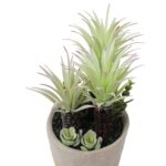 13.5” Faux Succulent Plant in Cement Pot - Chic Decora