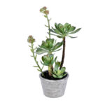 13.5” Faux Succulent Plant in Wicker/Rattan Pot - Chic Decora