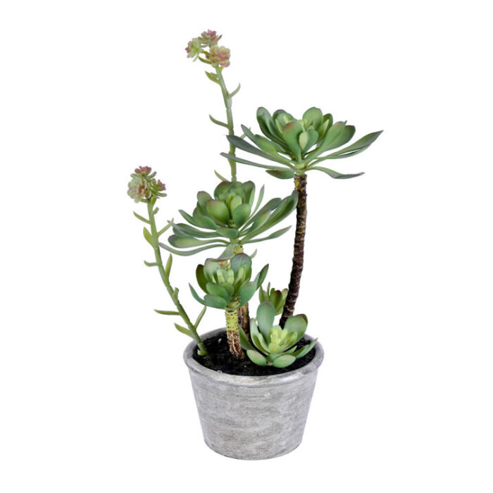 13.5” Faux Succulent Plant in Wicker/Rattan Pot - Chic Decora