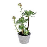 23.5” Faux Succulent Plant in Stone Pot - Chic Decora