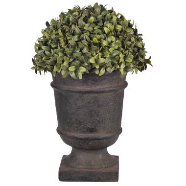 13” Faux Boxwood Topiary in Urn - Chic Decora