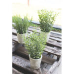 15” Faux Basil Plant in Ceramic Pot - Chic Decora