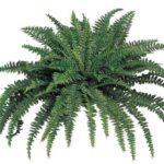 14” Faux Fern Plant - Chic Decora