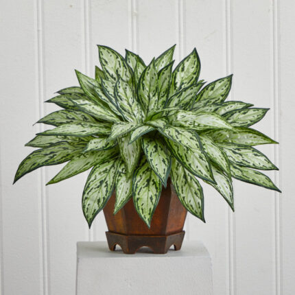 14” Faux Foliage Plant in Wood Decorative Vase - Chic Decora