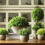 5.1” Faux Boxwood Topiary in Planter - Chic Decora