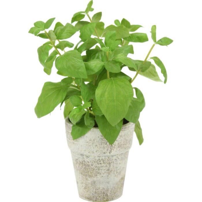 15” Faux Basil Plant in Ceramic Pot - Chic Decora