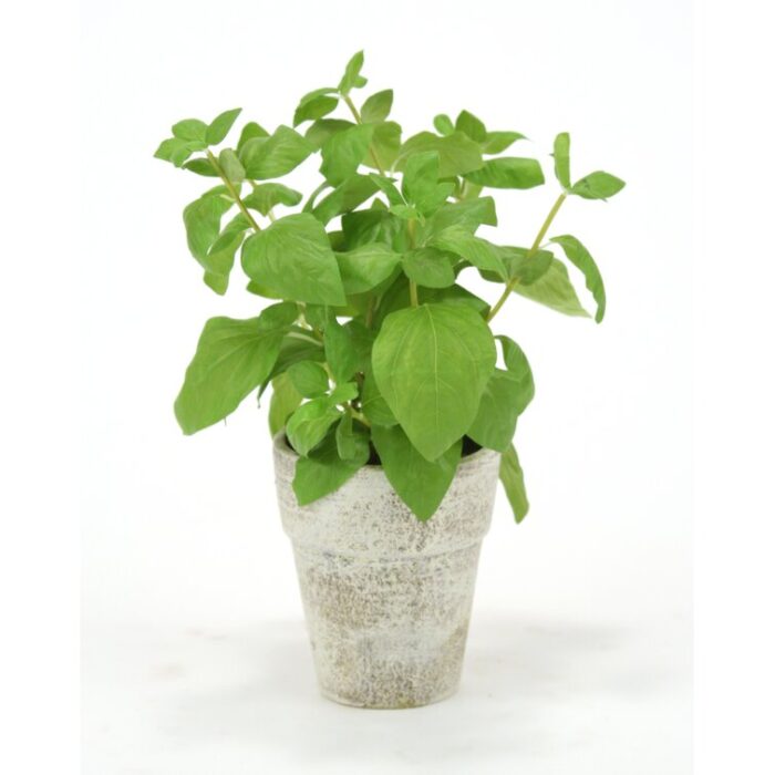 15” Faux Basil Plant in Ceramic Pot - Chic Decora