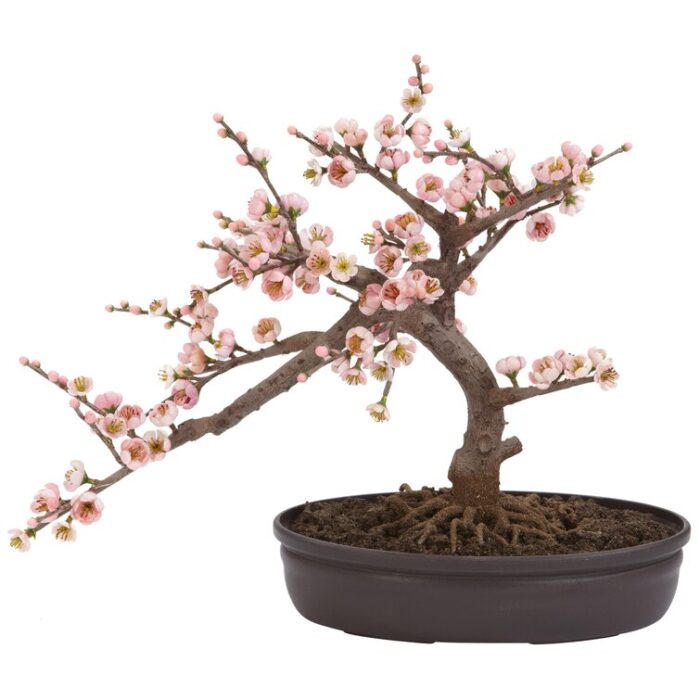 15” Faux Bonsai Plant in Pot - Chic Decora