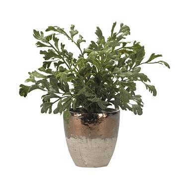 15” Faux Fern Plant in Ceramic Planter - Chic Decora