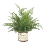 15” Faux Fern Plant in Glass Vase - Chic Decora