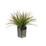 17” Faux Onion Grass Grass - Chic Decora