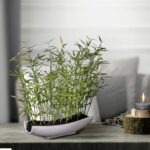 15” Faux Plant in Ceramic Pot - Chic Decora