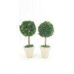 Topiary in Ceramic Pot - Chic Decora