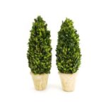 16” Boxwood Topiary in Terracotta Pot - Chic Decora