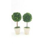 16” Boxwood Topiary in Terracotta Pot - Chic Decora