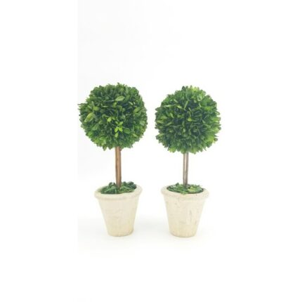 16” Boxwood Topiary in Terracotta Pot - Chic Decora