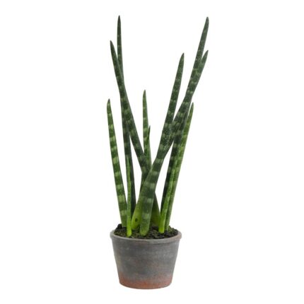 17” Faux Succulent Plant in Paper Planter - Chic Decora