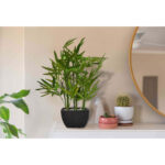 18” Faux Bamboo Plant in Pot - Chic Decora