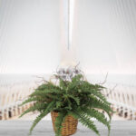 20” Fern Plant - Chic Decora