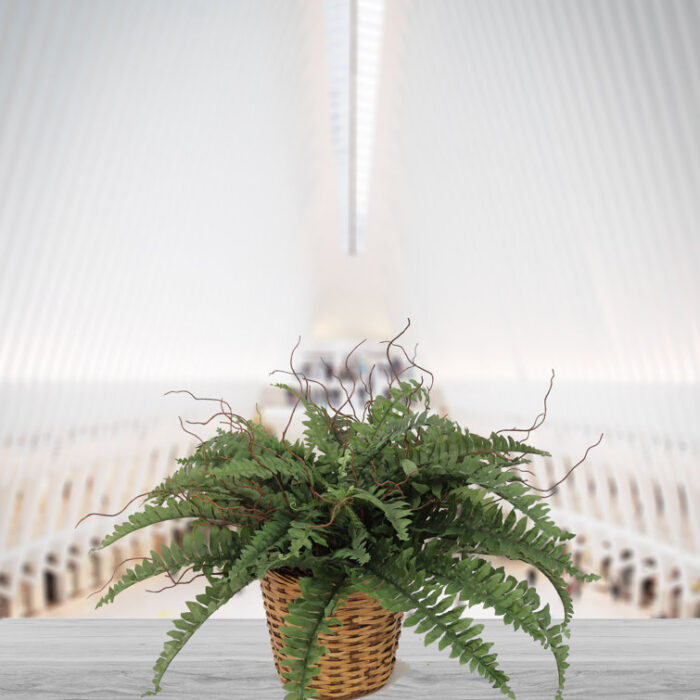 18” Faux Fern Plant - Chic Decora