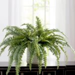 18” Faux Fern Plant - Chic Decora