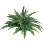 18” Faux Fern Plant - Chic Decora