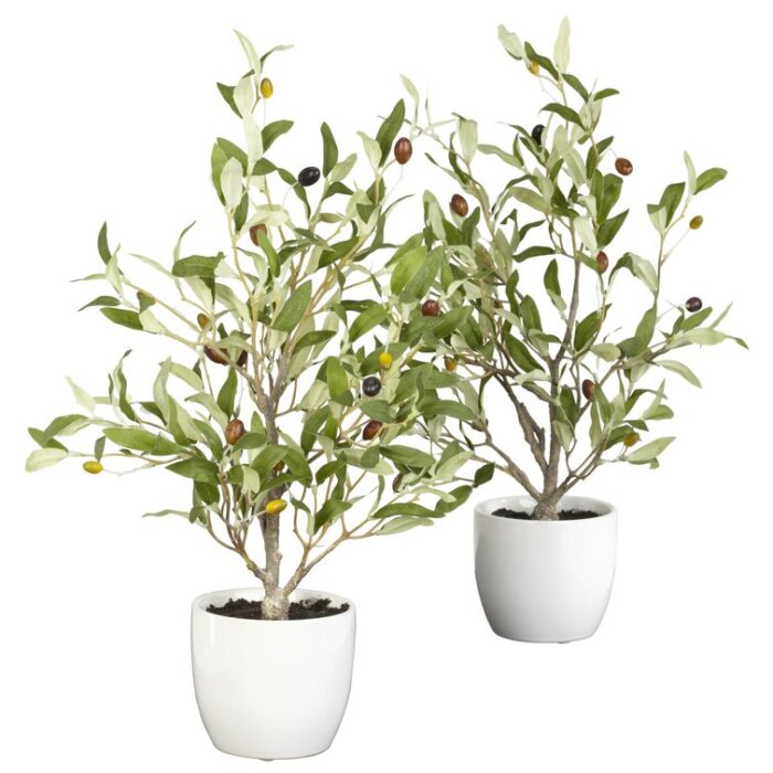 18” Faux Olive Tree Plant in Ceramic Pot - Chic Decora