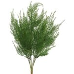 19.5” Foliage Plant - Chic Decora