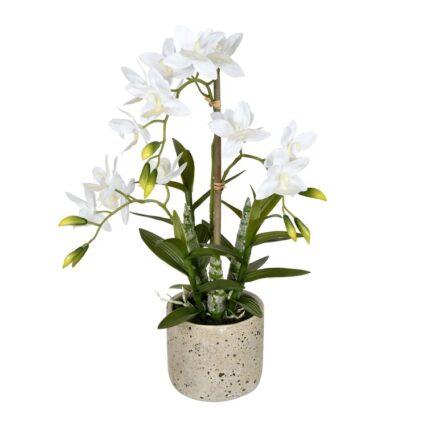 19″ Artificial Deluxe Potted Cycnoches Orchid - Chic Decora